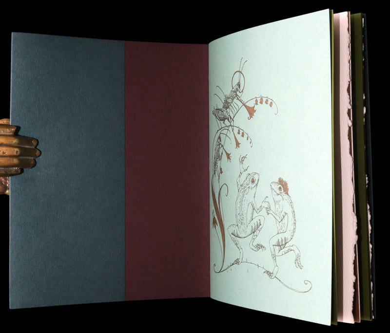 2008 Rare Signed 1stED - Mr. Rabbit's Symphony of Nature by Charles van Sandwyk