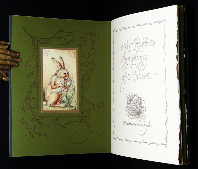 2008 Rare Signed 1stED - Mr. Rabbit's Symphony of Nature by Charles van Sandwyk
