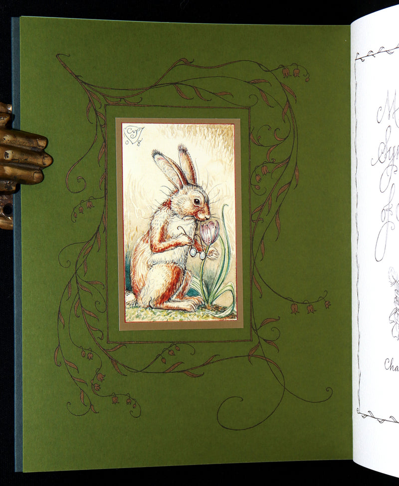 2008 Rare Signed 1stED - Mr. Rabbit's Symphony of Nature by Charles van Sandwyk