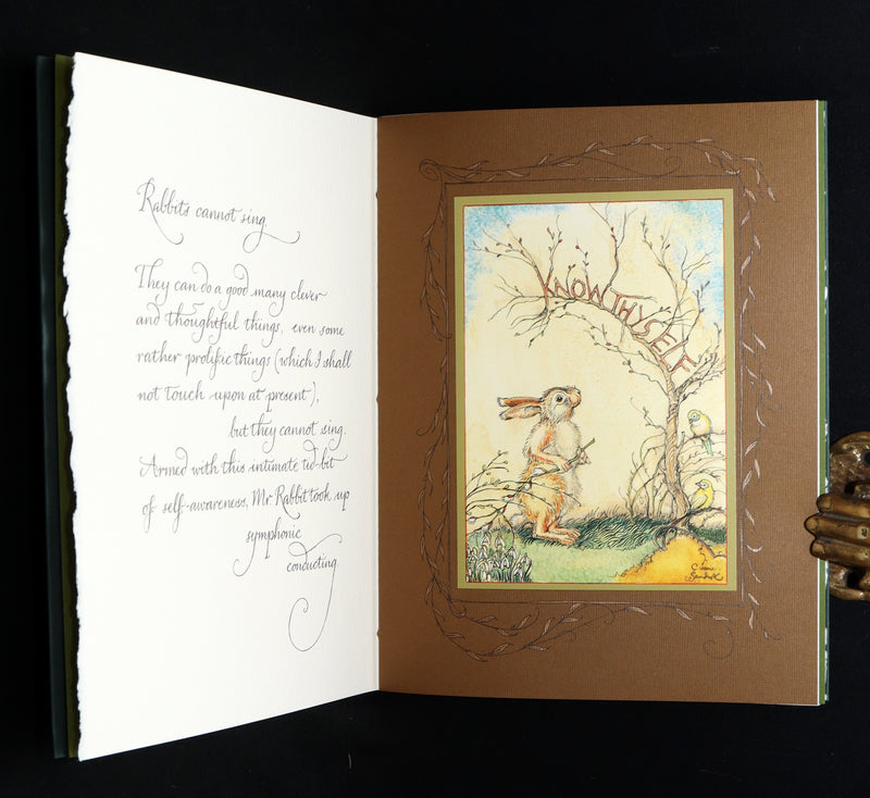 2008 Rare Signed 1stED - Mr. Rabbit's Symphony of Nature by Charles van Sandwyk