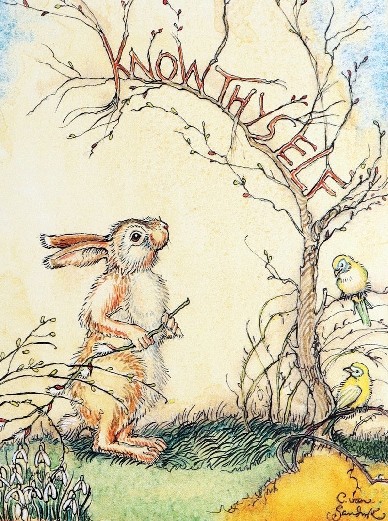 2008 Rare Signed 1stED - Mr. Rabbit's Symphony of Nature by Charles van Sandwyk