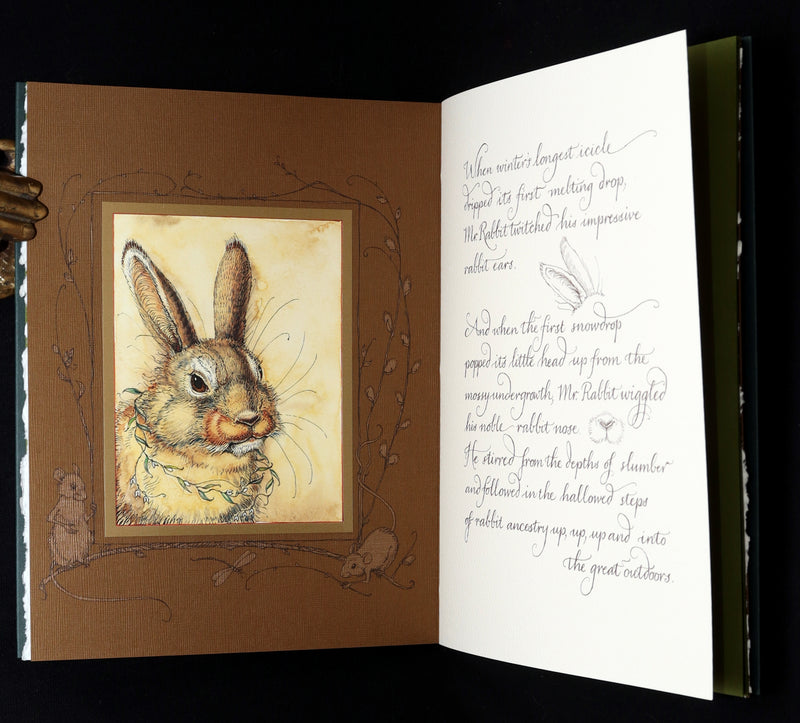 2008 Rare Signed 1stED - Mr. Rabbit's Symphony of Nature by Charles van Sandwyk
