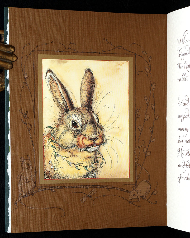 2008 Rare Signed 1stED - Mr. Rabbit's Symphony of Nature by Charles van Sandwyk