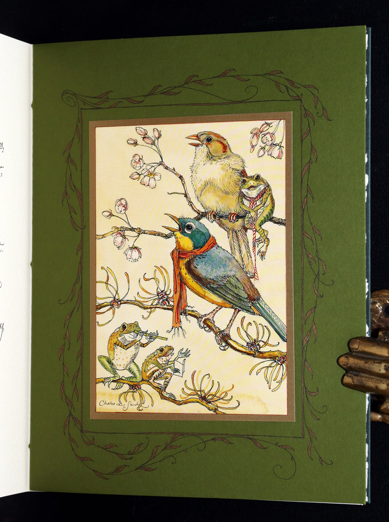 2008 Rare Signed 1stED - Mr. Rabbit's Symphony of Nature by Charles van Sandwyk