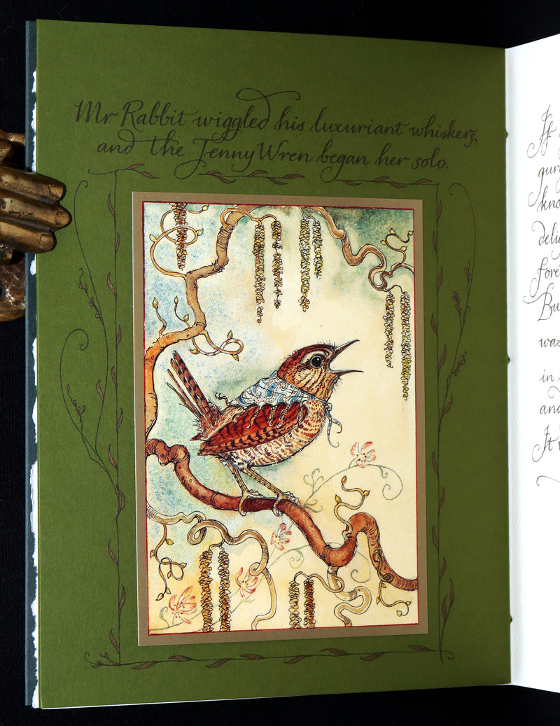 2008 Rare Signed 1stED - Mr. Rabbit's Symphony of Nature by Charles van Sandwyk