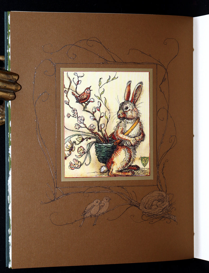 2008 Rare Signed 1stED - Mr. Rabbit's Symphony of Nature by Charles van Sandwyk