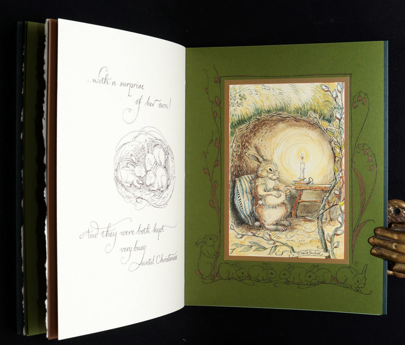 2008 Rare Signed 1stED - Mr. Rabbit's Symphony of Nature by Charles van Sandwyk