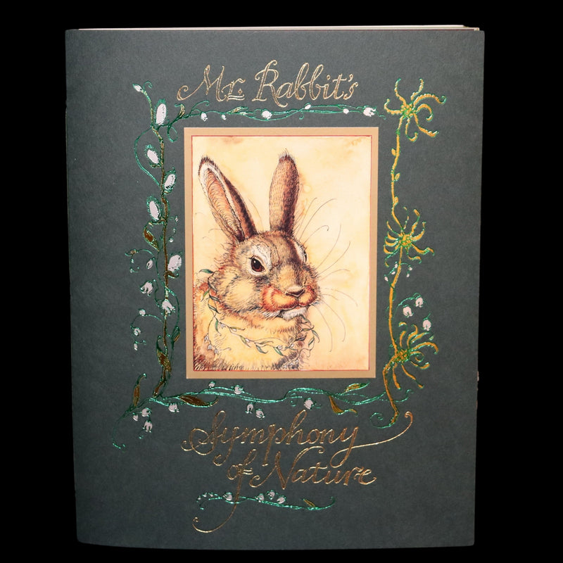 2008 Rare Signed 1stED - Mr. Rabbit's Symphony of Nature by Charles van Sandwyk