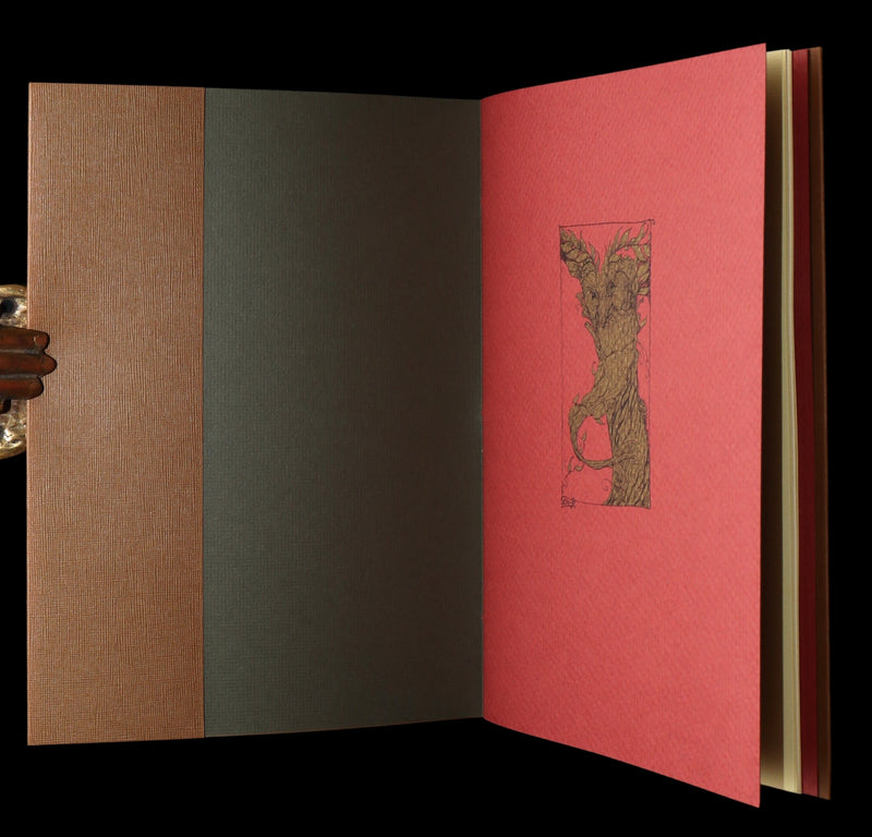 2015 Rare Signed First Edition - Tree Whispers by Charles van Sandwyk