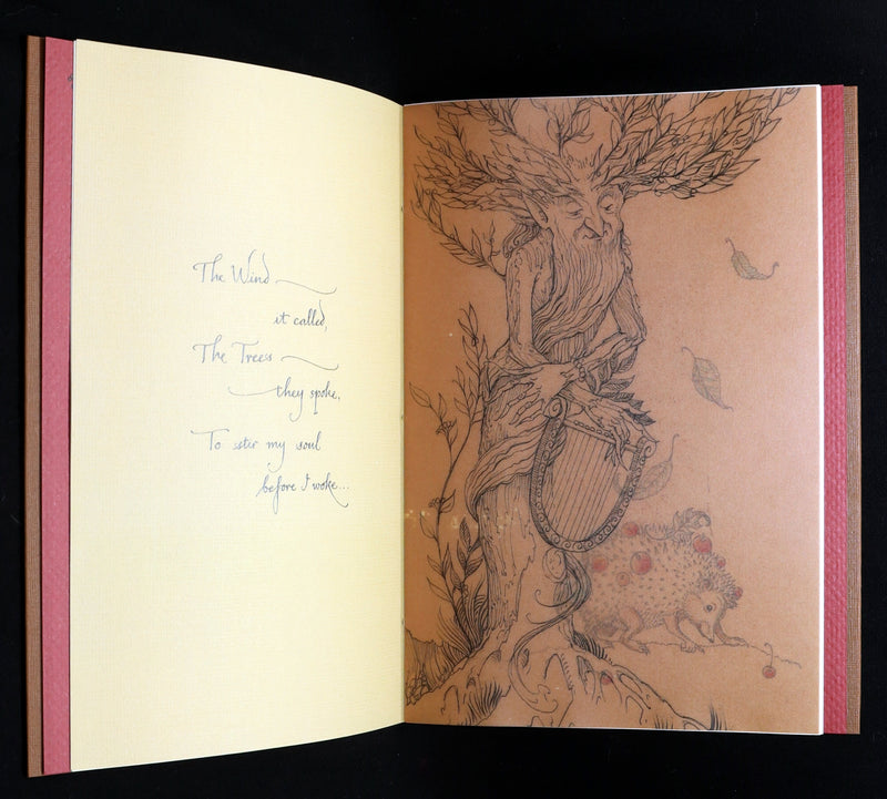 2015 Rare Signed First Edition - Tree Whispers by Charles van Sandwyk