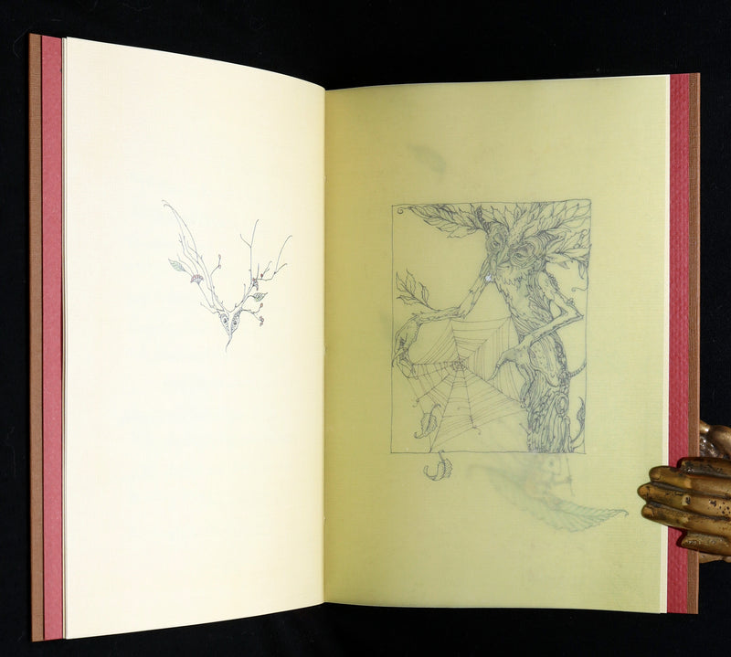 2015 Rare Signed First Edition - Tree Whispers by Charles van Sandwyk