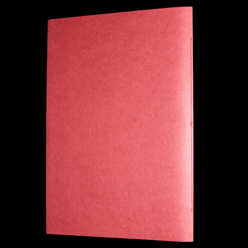 2009 First Edition - Canadian Content illustrated by Charles van Sandwyk