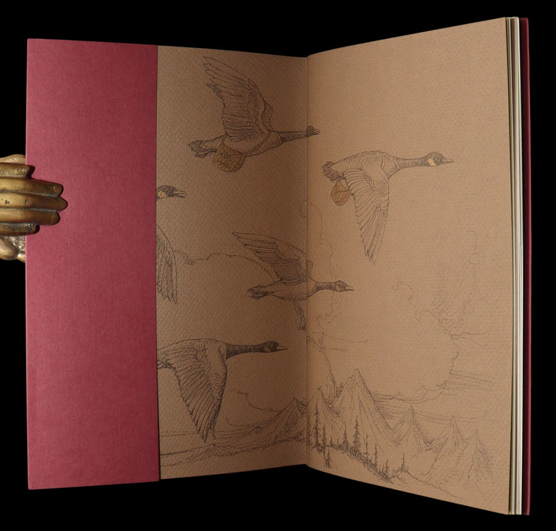 2009 First Edition - Canadian Content illustrated by Charles van Sandwyk