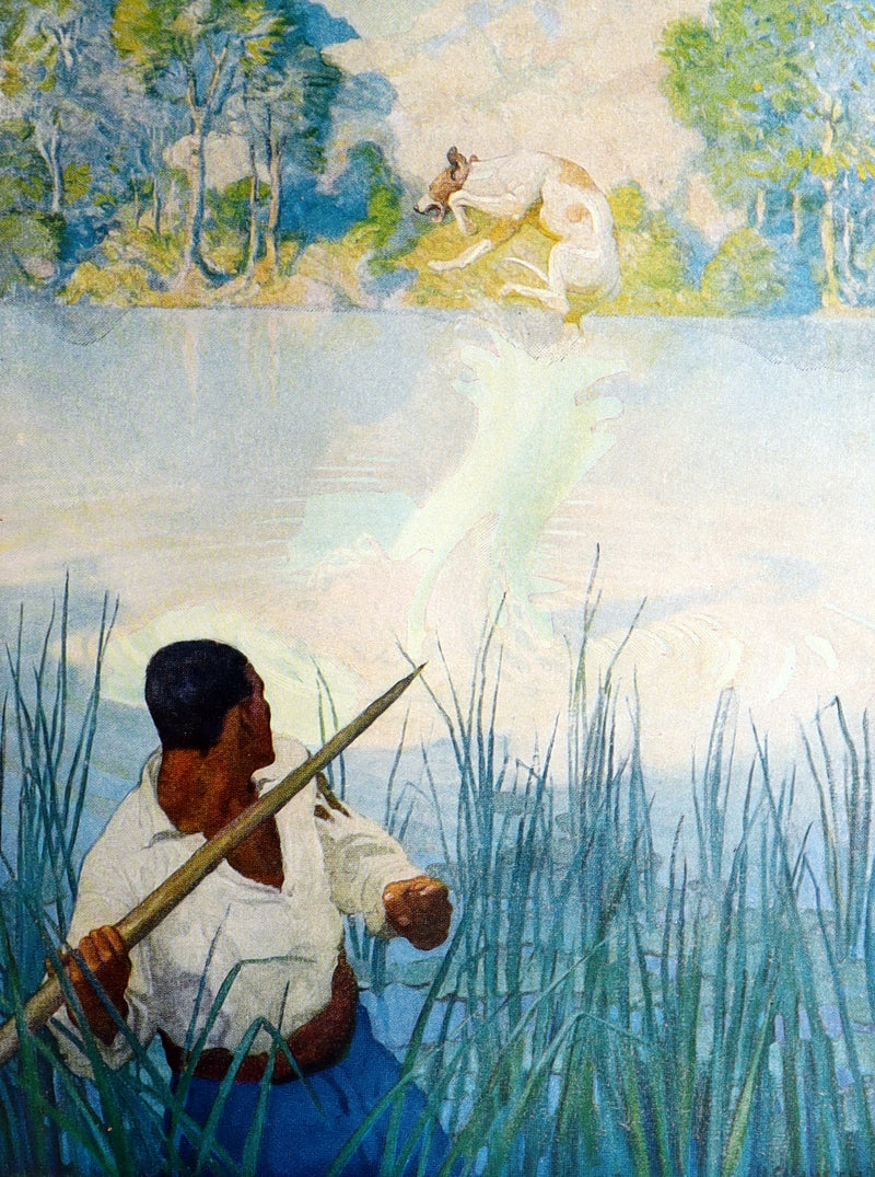 1951 Book - The Mysterious Island by Jules Verne Illustrated by N.C. Wyeth