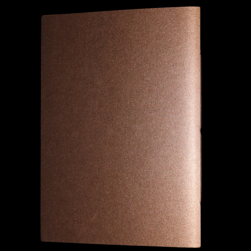 2013 Rare Book - An Unexpected Gift, A Christmas Tale by Charles van Sandwyk