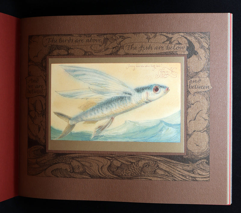 2005 Signed 1stED - Sketches from the Dream Island of Birds, Charles van Sandwyk