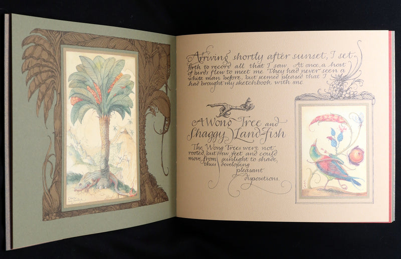 2005 Signed 1stED - Sketches from the Dream Island of Birds, Charles van Sandwyk