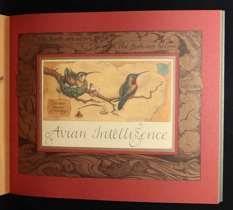 2005 Signed 1stED - Sketches from the Dream Island of Birds, Charles van Sandwyk