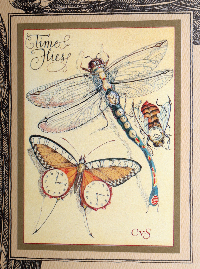 2005 Signed 1stED - Sketches from the Dream Island of Birds, Charles van Sandwyk