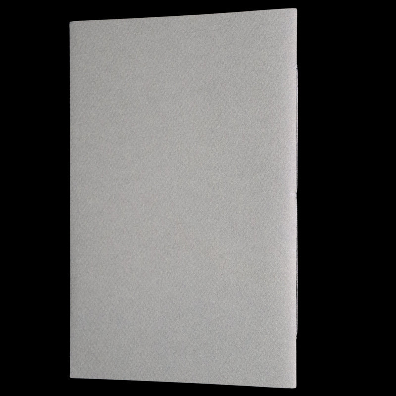 2001 Scarce Signed First Edition - The Fairies’ Christmas by Charles van Sandwyk