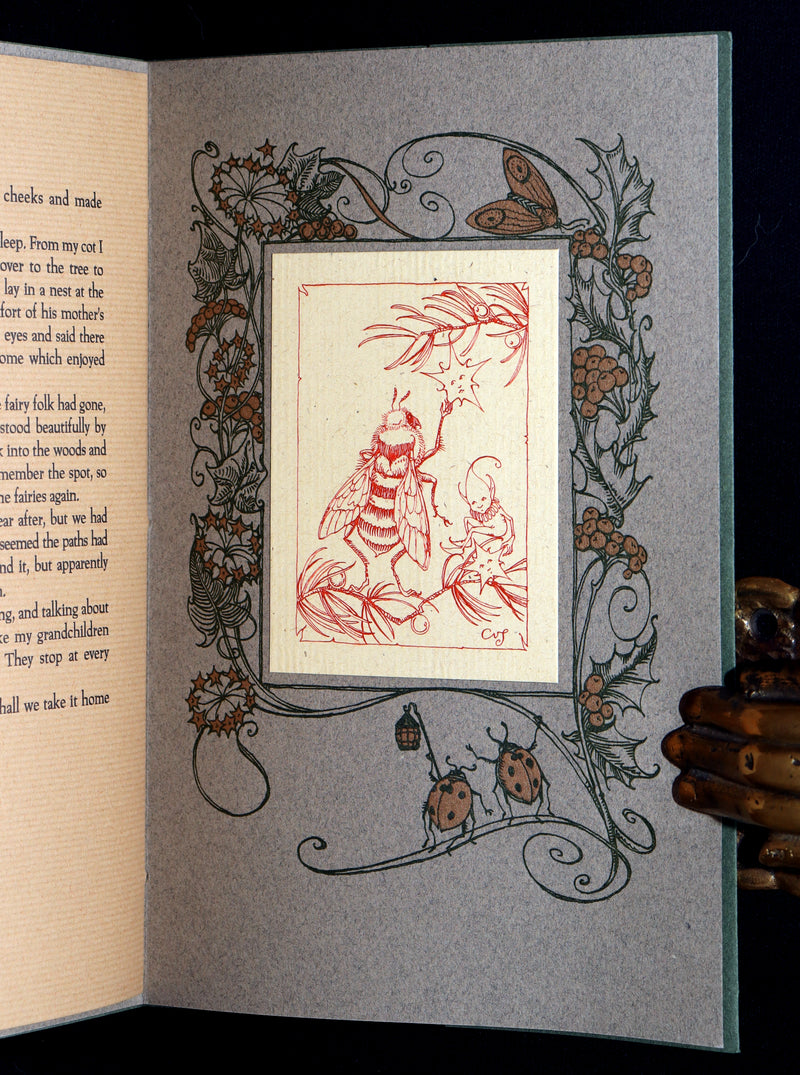 2001 Scarce Signed First Edition - The Fairies’ Christmas by Charles van Sandwyk