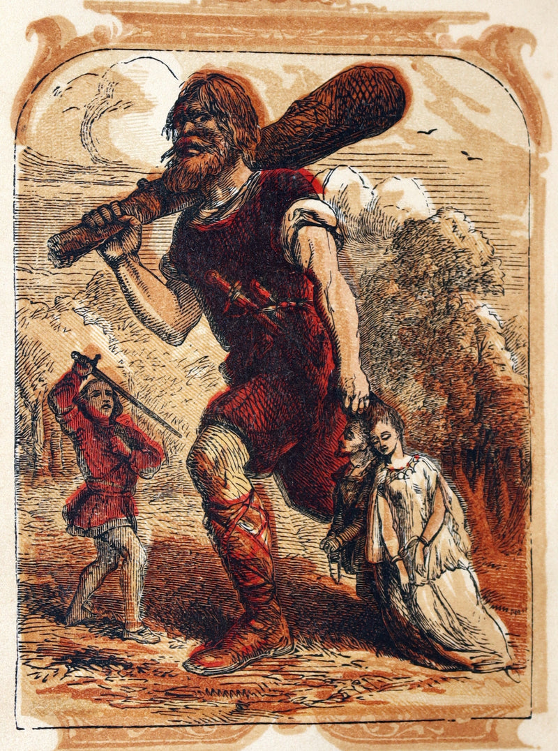 1861 Scarce Book - Favourite Fairy Tales With Twelve Coloured Illustrations