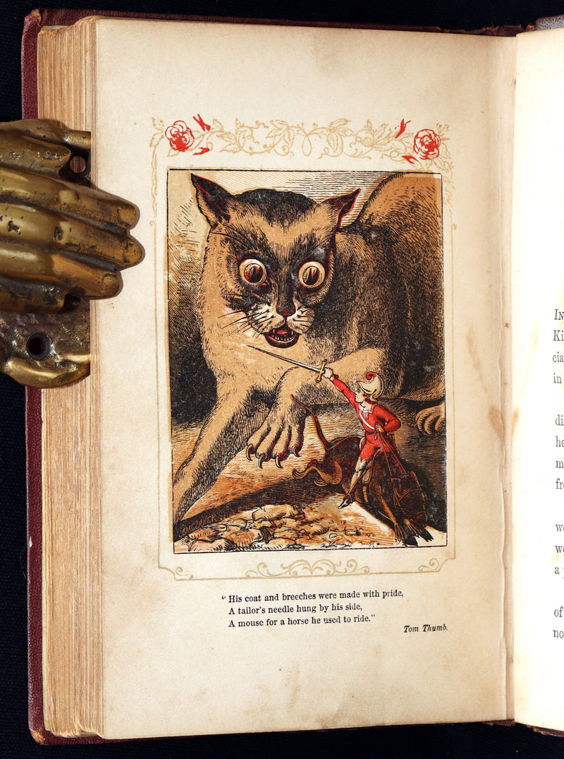 1861 Scarce Book - Favourite Fairy Tales With Twelve Coloured Illustrations