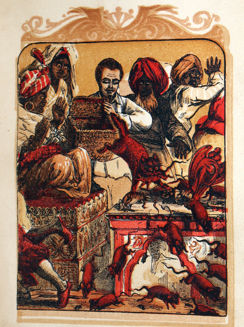 1861 Scarce Book - Favourite Fairy Tales With Twelve Coloured Illustrations