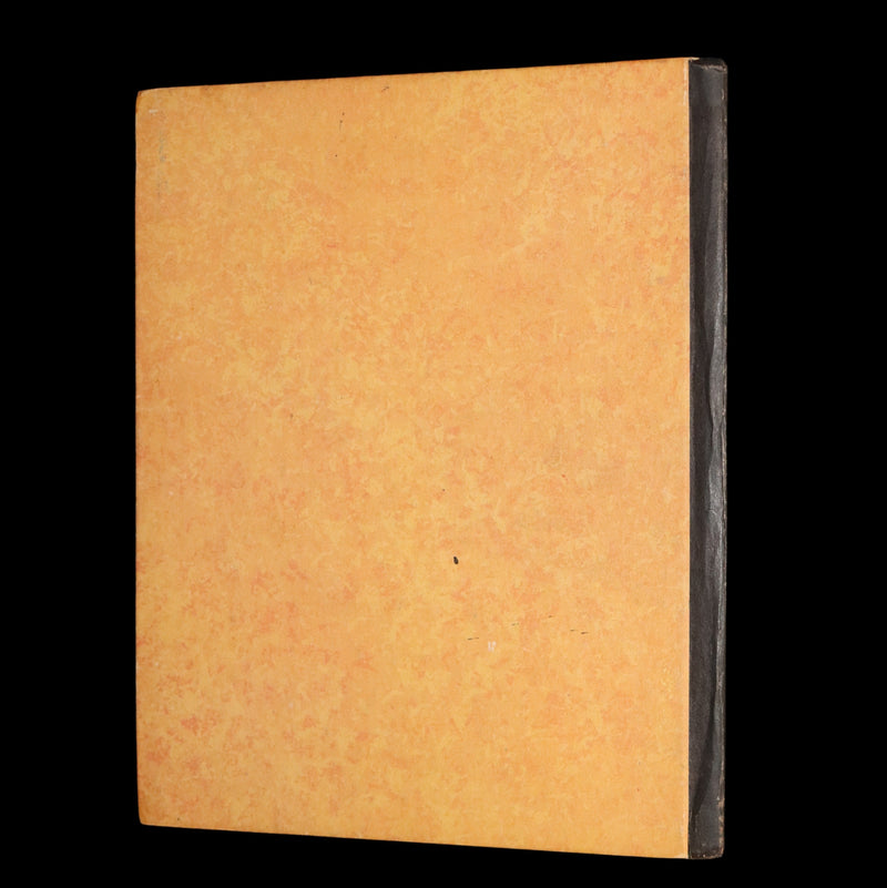 1926 First Edition - Wee Miss Violet, Fairy Flowers illustrated by Willy Pogany