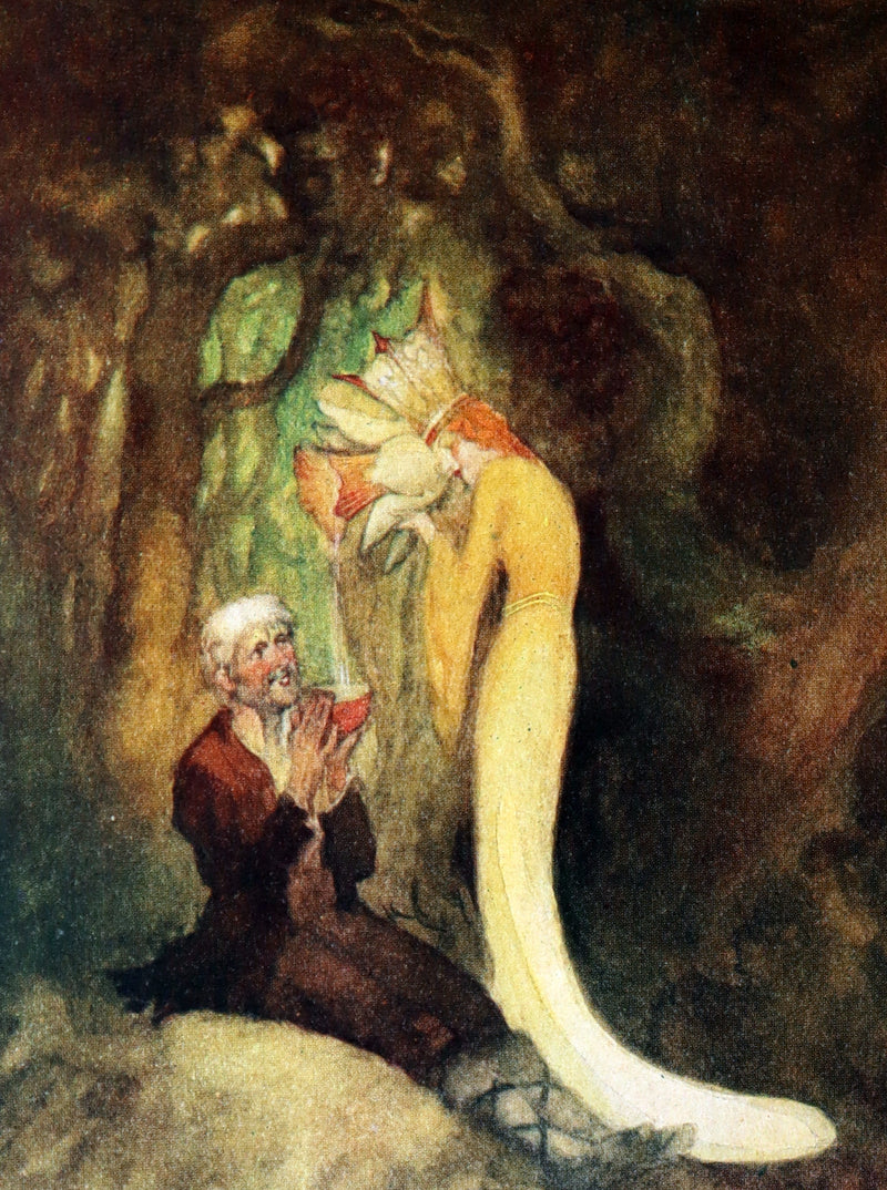 1926 First Edition - Wee Miss Violet, Fairy Flowers illustrated by Willy Pogany