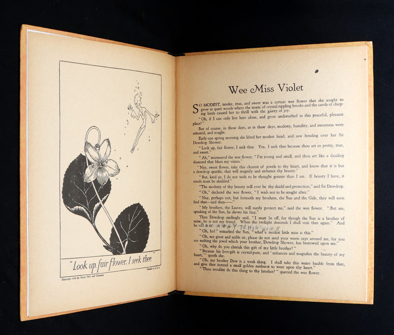 1926 First Edition - Wee Miss Violet, Fairy Flowers illustrated by Willy Pogany