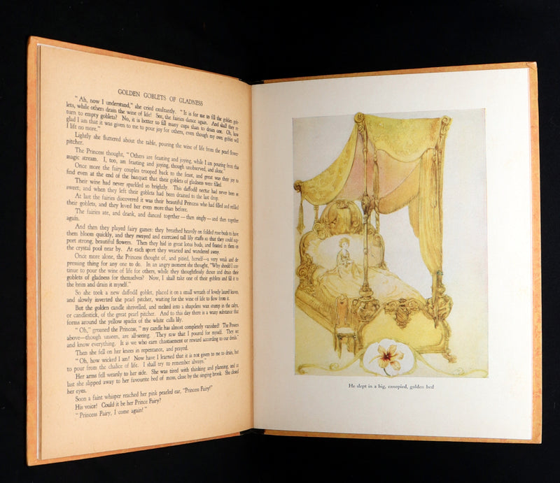 1926 First Edition - Wee Miss Violet, Fairy Flowers illustrated by Willy Pogany