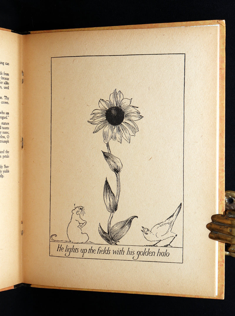 1926 First Edition - Wee Miss Violet, Fairy Flowers illustrated by Willy Pogany