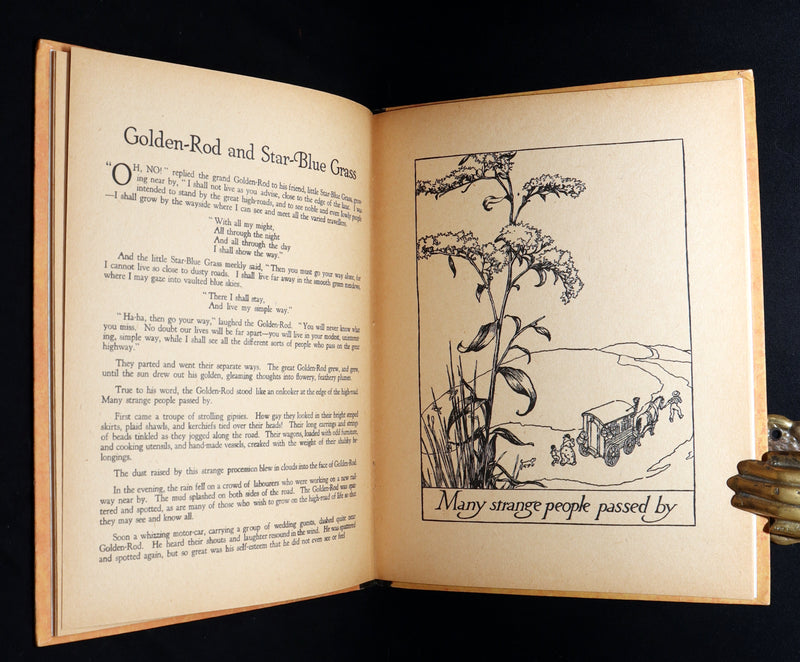 1926 First Edition - Wee Miss Violet, Fairy Flowers illustrated by Willy Pogany