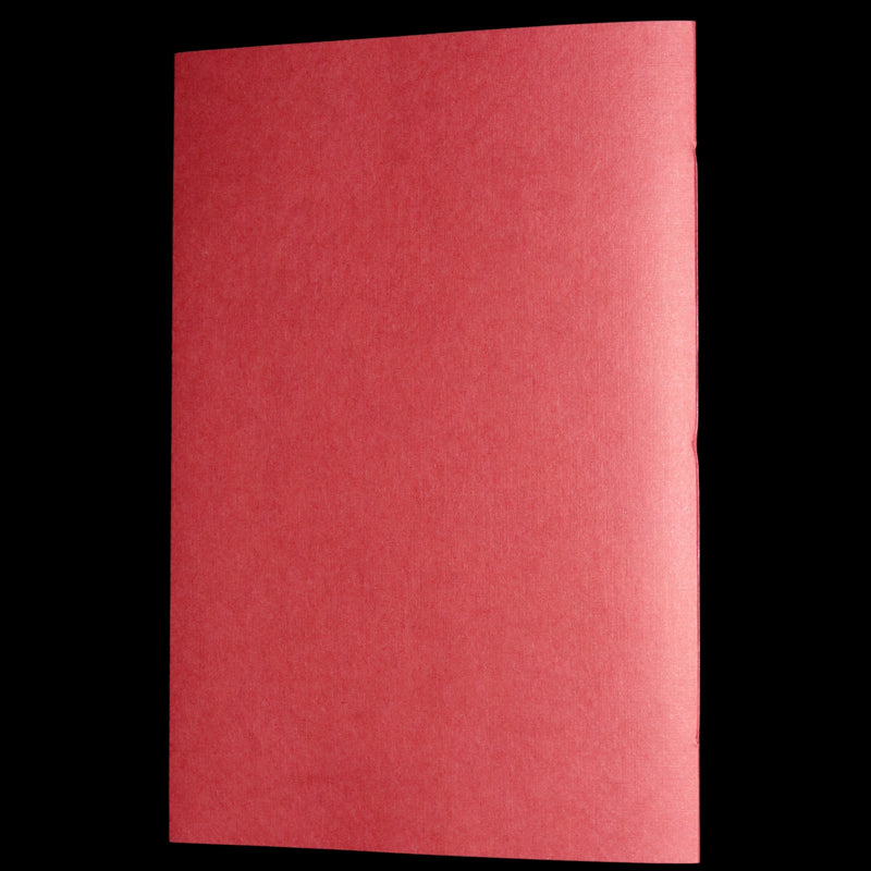 2009 Rare Signed Book - Canadian Content illustrated by Charles van Sandwyk