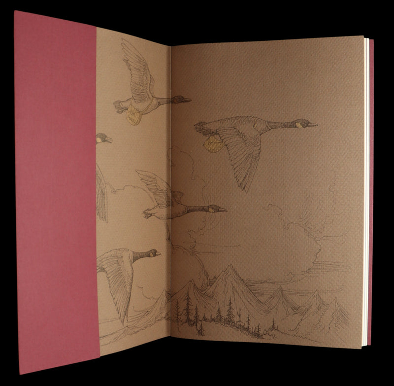 2009 Rare Signed Book - Canadian Content illustrated by Charles van Sandwyk