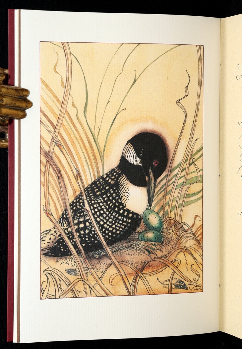 2009 Rare Signed Book - Canadian Content illustrated by Charles van Sandwyk