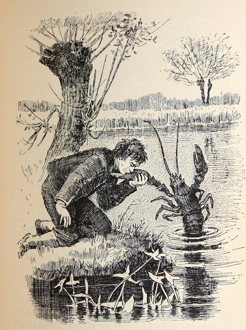 1885 Scarce First Edition - Edouard Laboulaye's Last Fairy Tales, illustrated