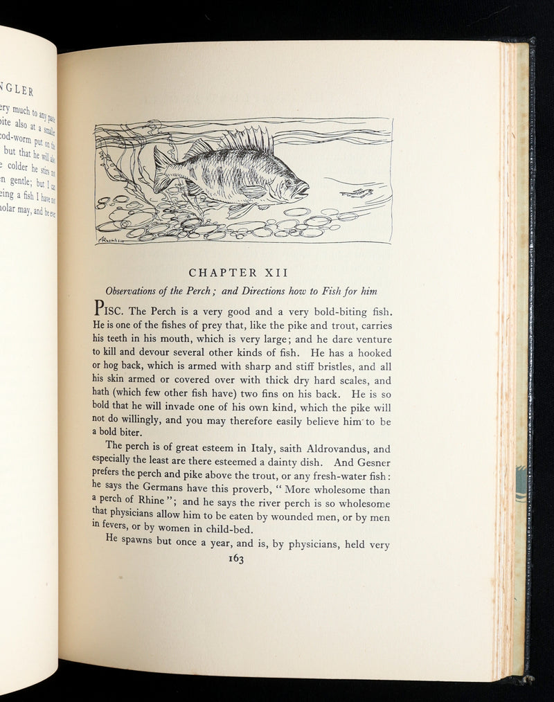 1931 Rare Deluxe Edition - The Compleat Angler illustrated by Arthur Rackham