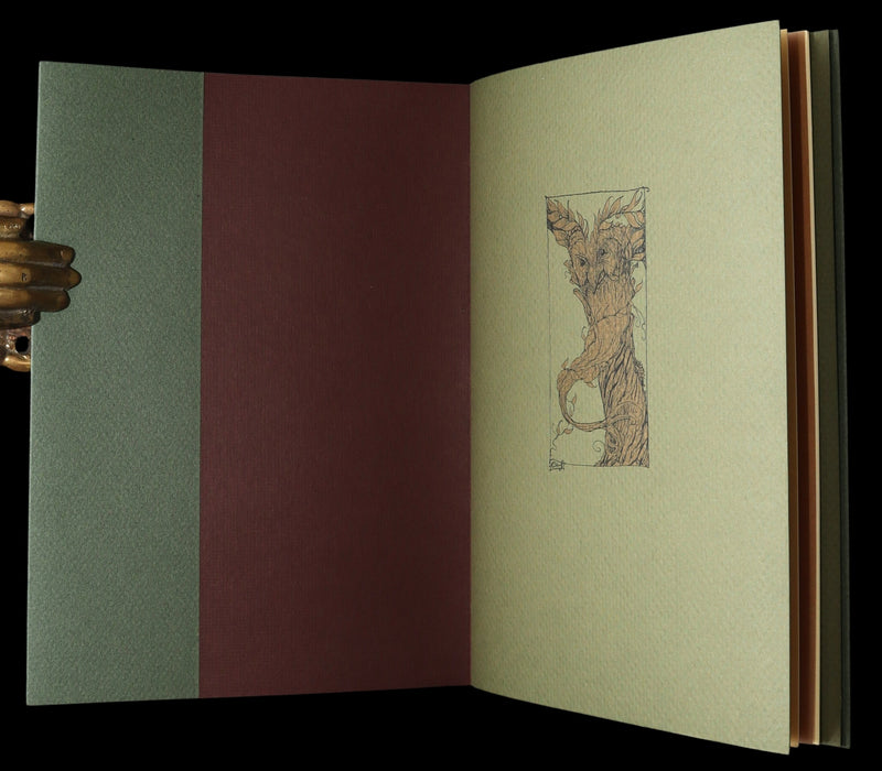 2015 Scarce Limited Deluxe First Edition - Tree Whispers by Charles van Sandwyk