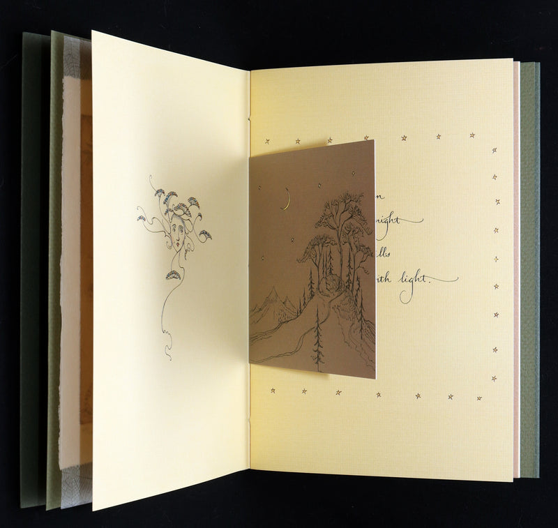 2015 Scarce Limited Deluxe First Edition - Tree Whispers by Charles van Sandwyk