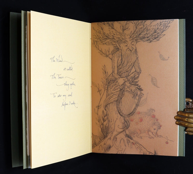 2015 Scarce Limited Deluxe First Edition - Tree Whispers by Charles van Sandwyk