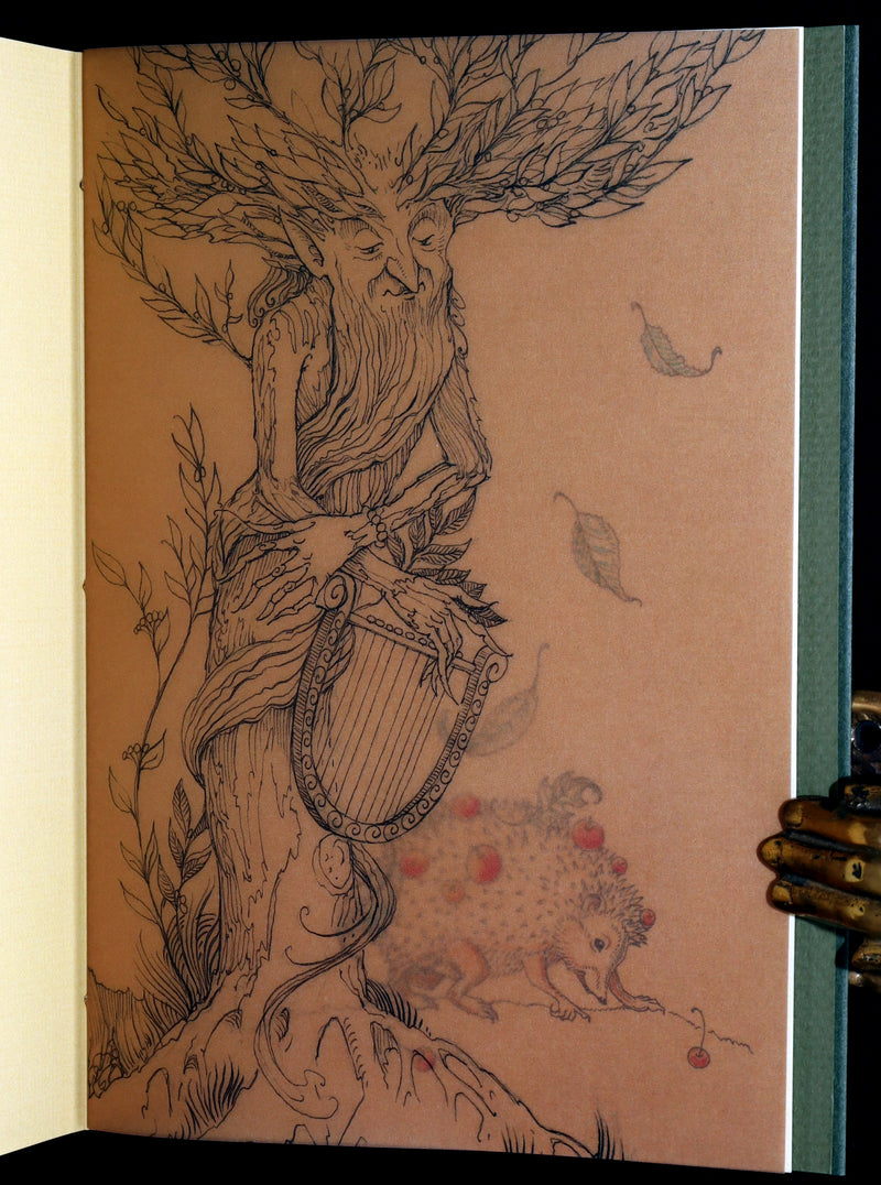 2015 Scarce Limited Deluxe First Edition - Tree Whispers by Charles van Sandwyk