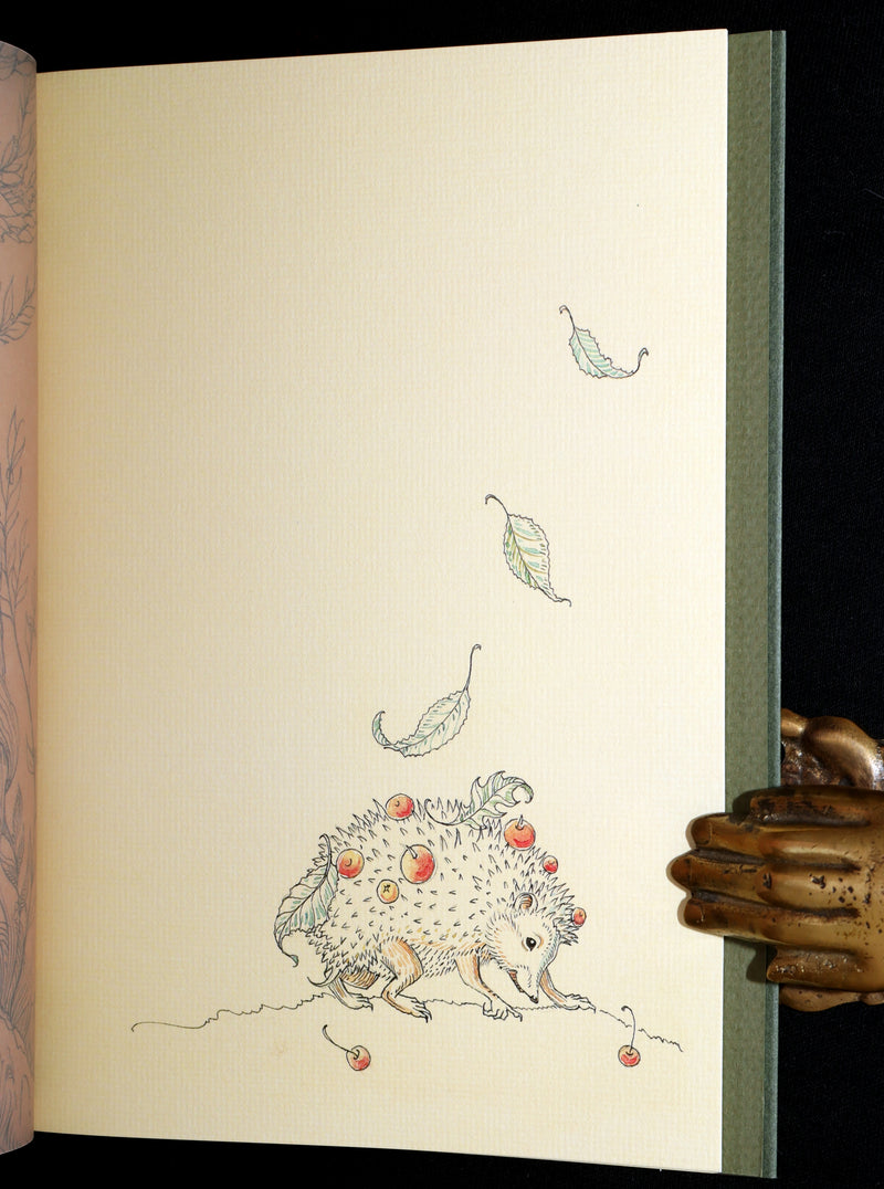 2015 Scarce Limited Deluxe First Edition - Tree Whispers by Charles van Sandwyk