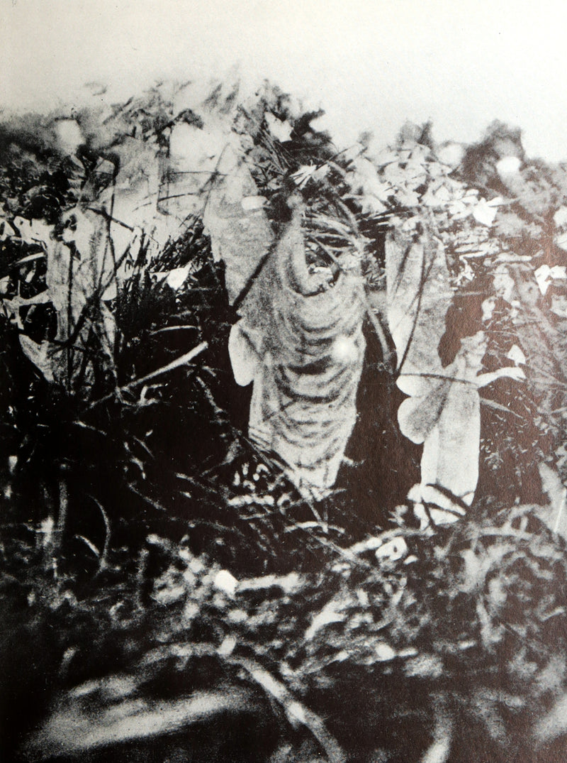 1957 Rare Book - Fairies, The Cottingley Photographs by Edward L. Gardner