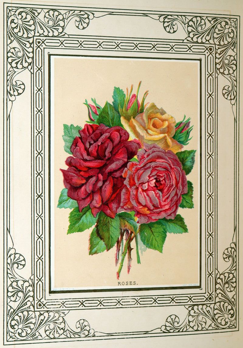 1877 Rare Floriography Book -  Floral Poetry and the Language of Flowers