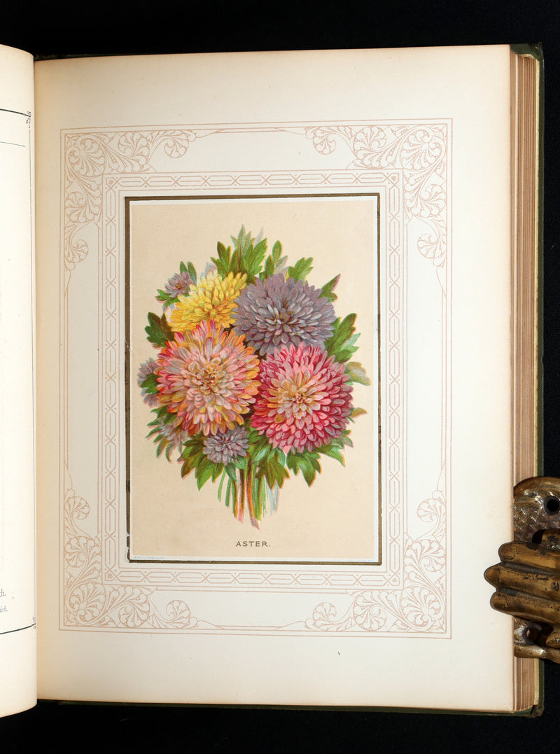 1877 Rare Floriography Book -  Floral Poetry and the Language of Flowers
