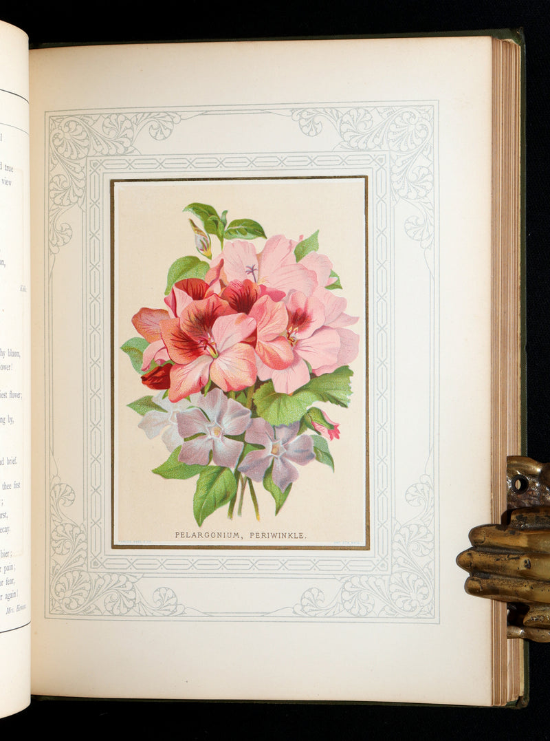 1877 Rare Floriography Book -  Floral Poetry and the Language of Flowers