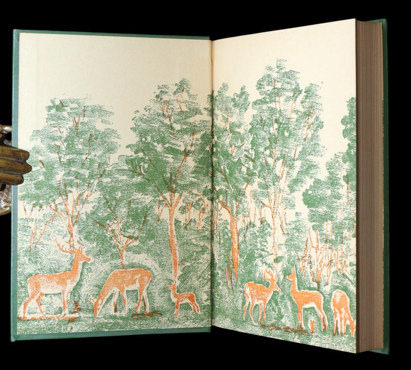 1928 Rare First Edition - BAMBI a Life in the Woods by Felix Salten, Illustrated