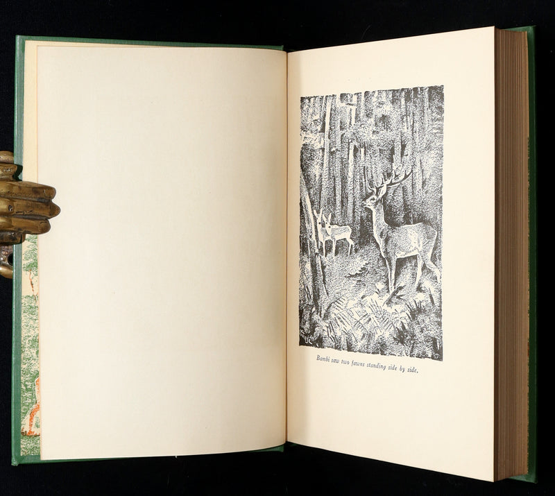 1928 Rare First Edition - BAMBI a Life in the Woods by Felix Salten, Illustrated